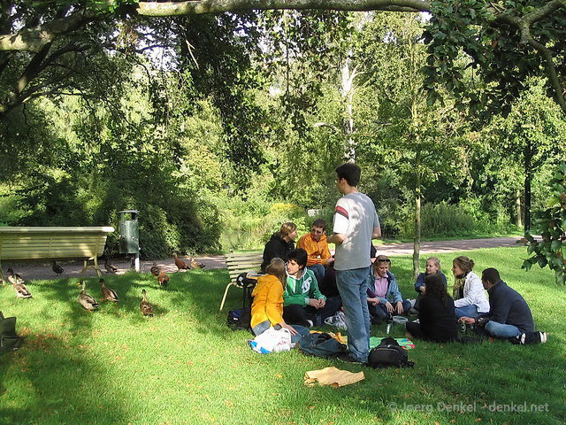 mentor-picknick_03.jpg