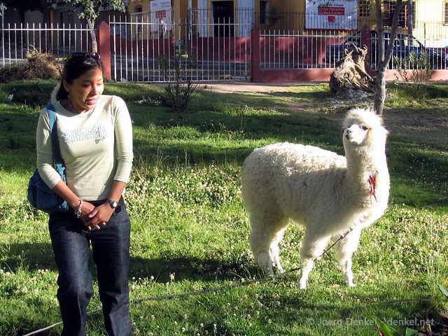 arequipa_056.jpg