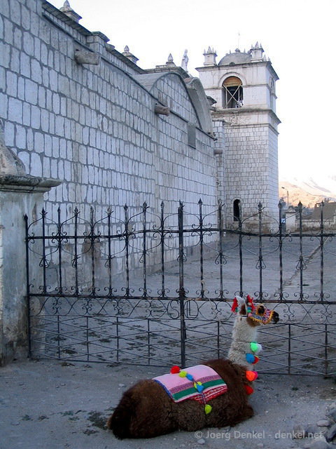 colca_006.jpg
