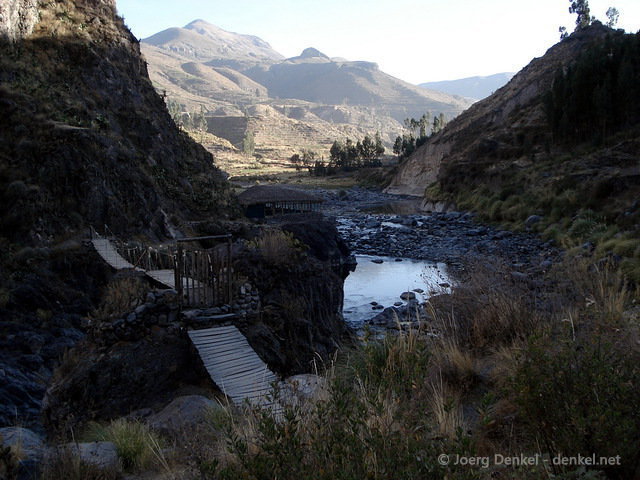 colca_007.jpg