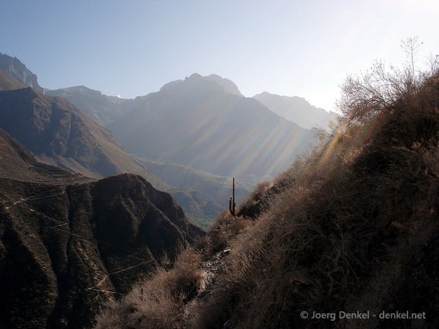 colca_036.jpg