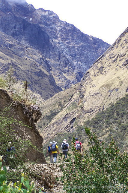 salkantay_005.jpg