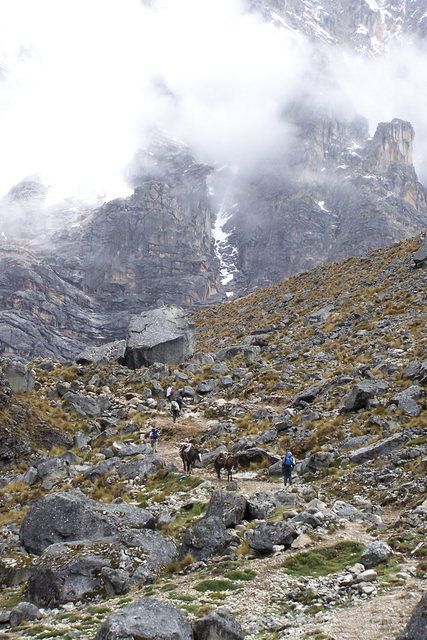 salkantay_020.jpg