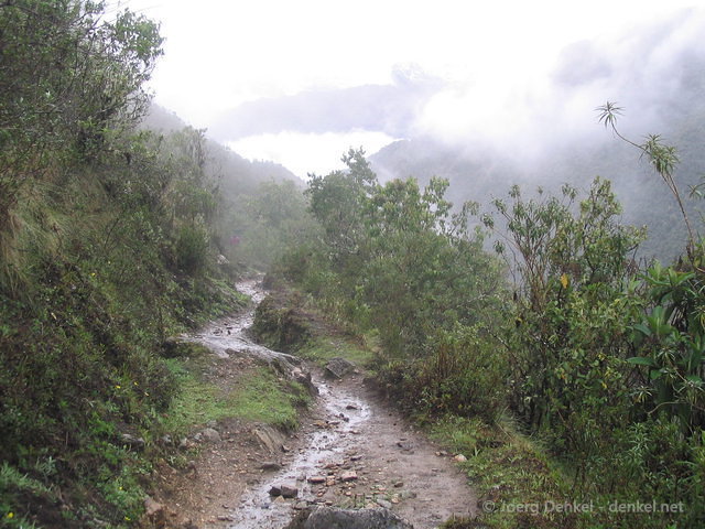 salkantay_033.jpg