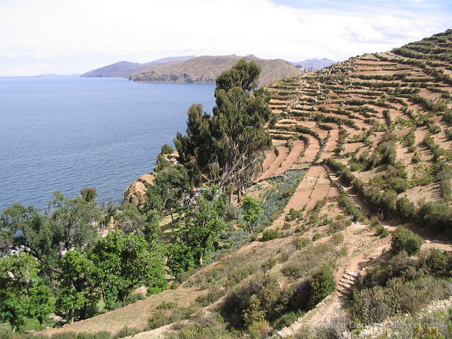 titicaca_049.jpg