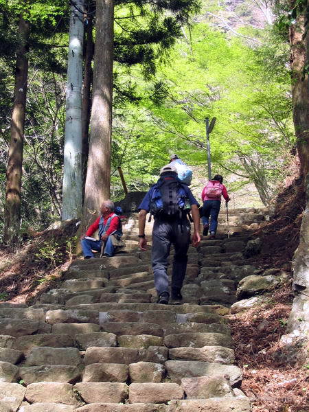 wandern_oyama_04