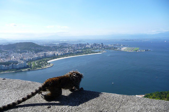 riodejaneiro 011