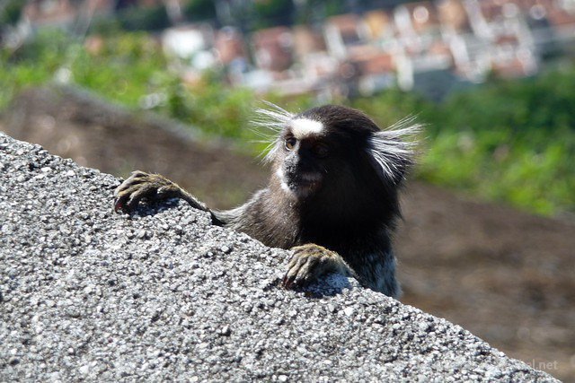 riodejaneiro 012