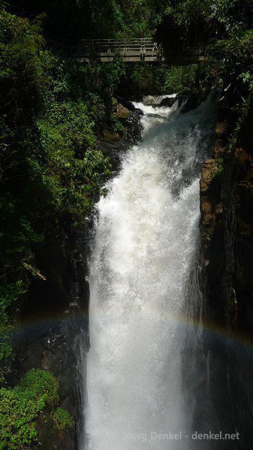 iguazu 049