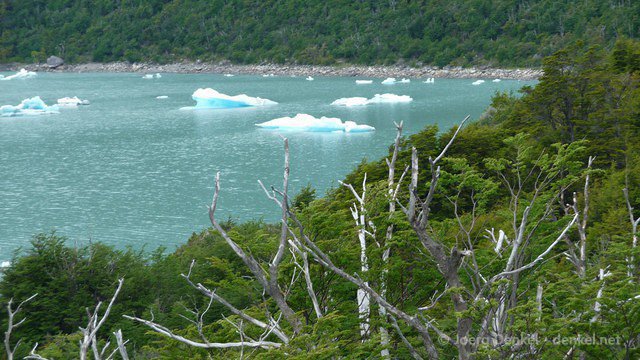 elcalafate 014