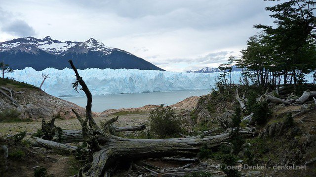elcalafate 023