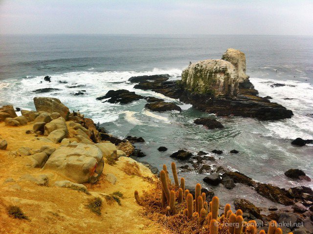 pichilemu 022