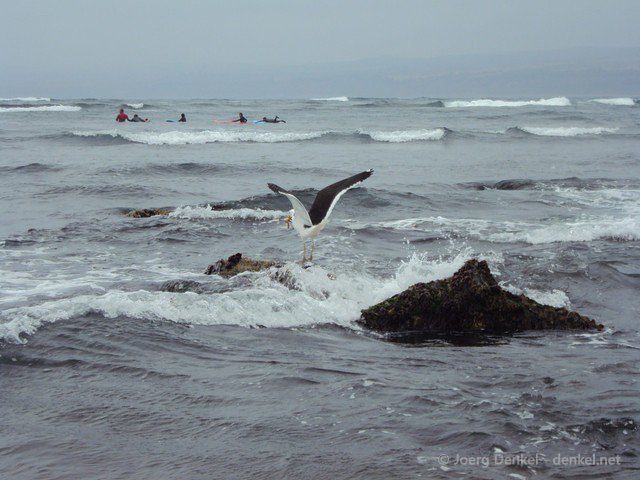 pichilemu 025
