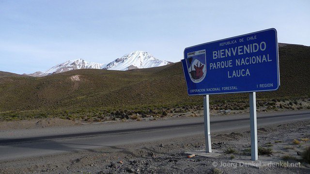 lauca 004