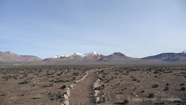 lauca 005