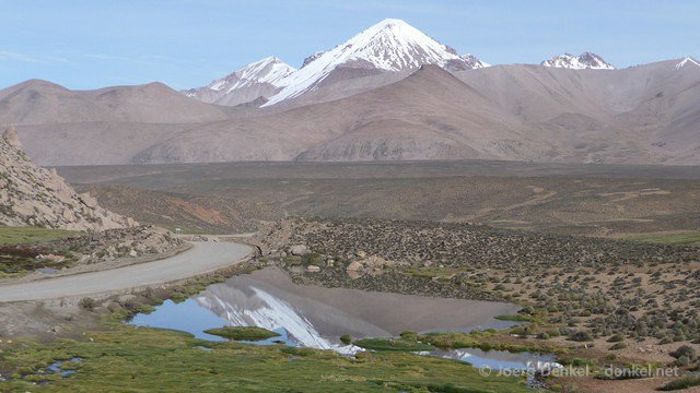 lauca 008