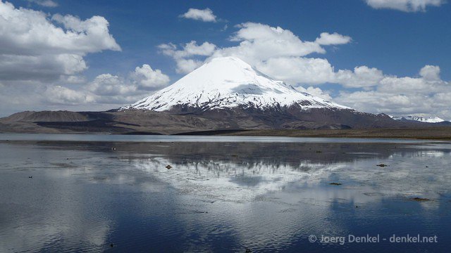 lauca 034