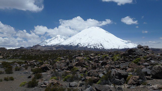 lauca 035
