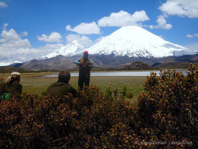 lauca 038