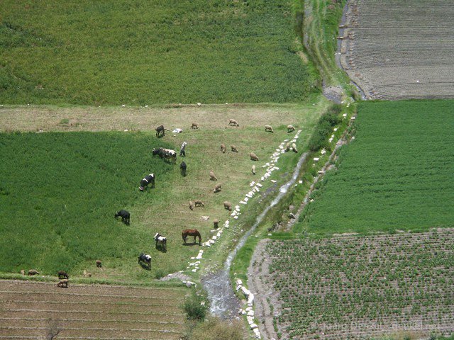 arequipa 005