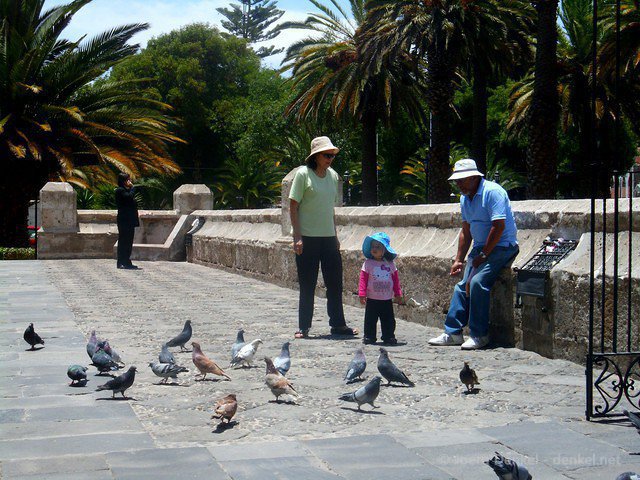 arequipa 014