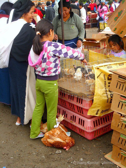 otavalo 021