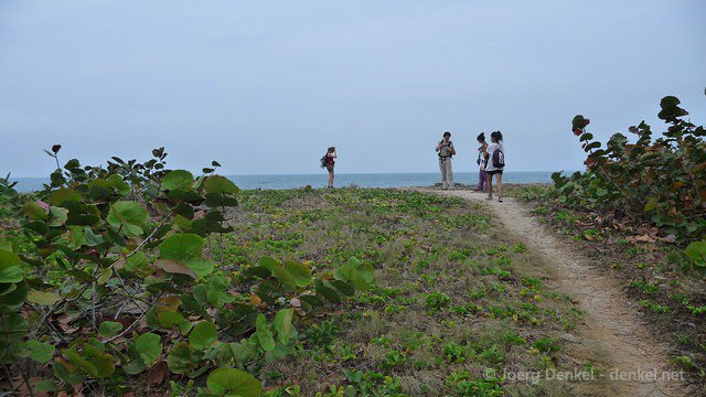 taganga-tayrona-palomino 016