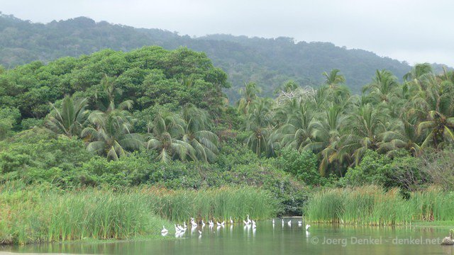 taganga-tayrona-palomino 021