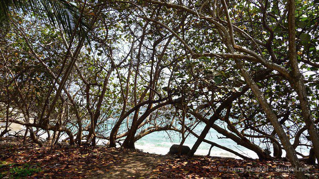 taganga-tayrona-palomino 035
