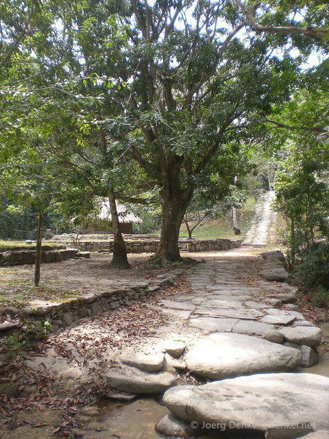 taganga-tayrona-palomino 053
