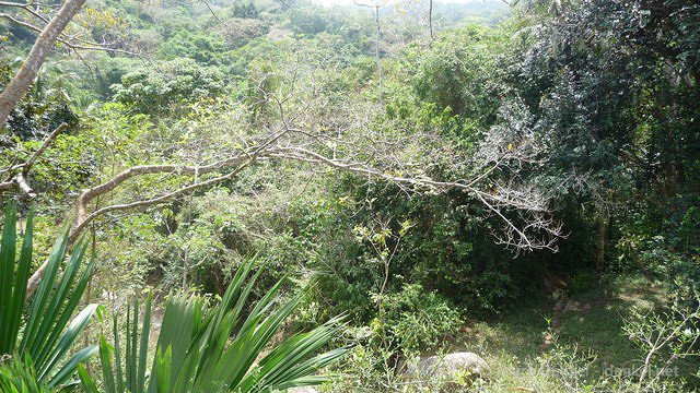 taganga-tayrona-palomino 055