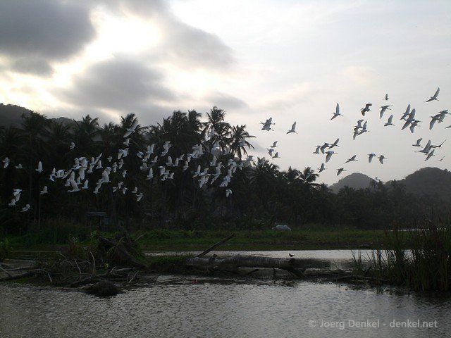 taganga-tayrona-palomino 061