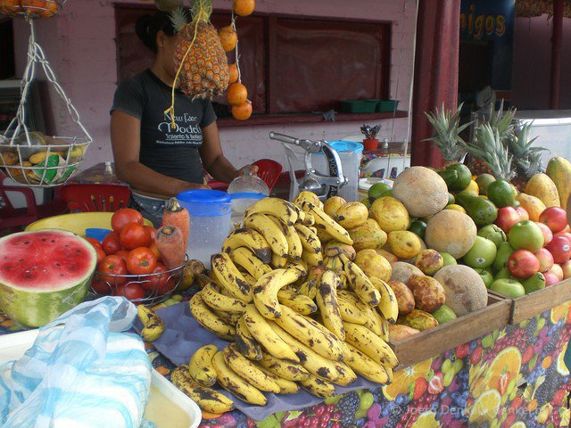 taganga-tayrona-palomino 066