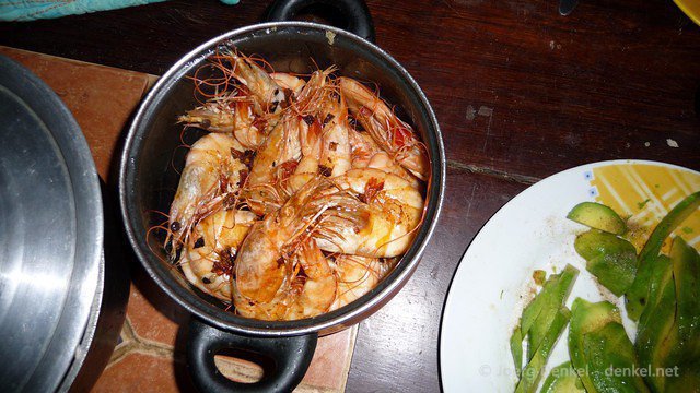 taganga-tayrona-palomino 082