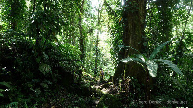 ciudadperdida 048