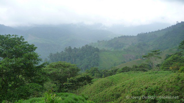 ciudadperdida 095
