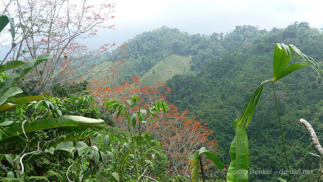 ciudadperdida 097