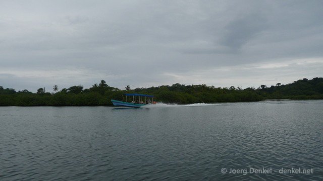 bocasdeltoro 034