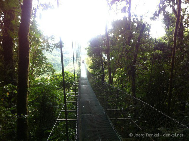 monteverde 037