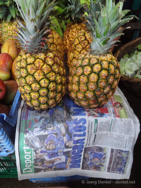 esteli-jinotega-miraflor 001