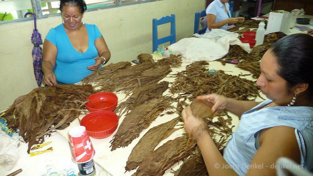 esteli-jinotega-miraflor 015