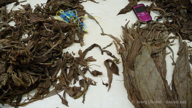 esteli-jinotega-miraflor 016