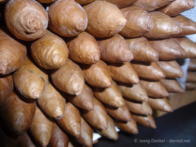 esteli-jinotega-miraflor 026