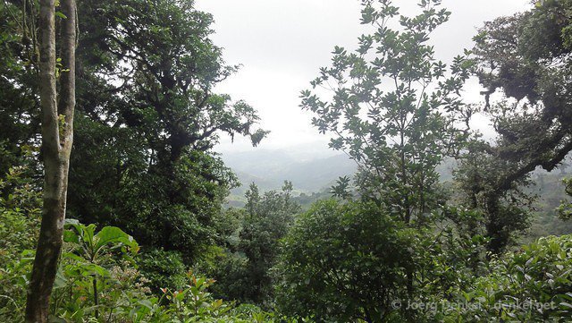 esteli-jinotega-miraflor 063