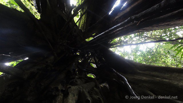 esteli-jinotega-miraflor 064