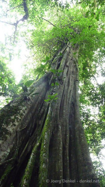 esteli-jinotega-miraflor 065
