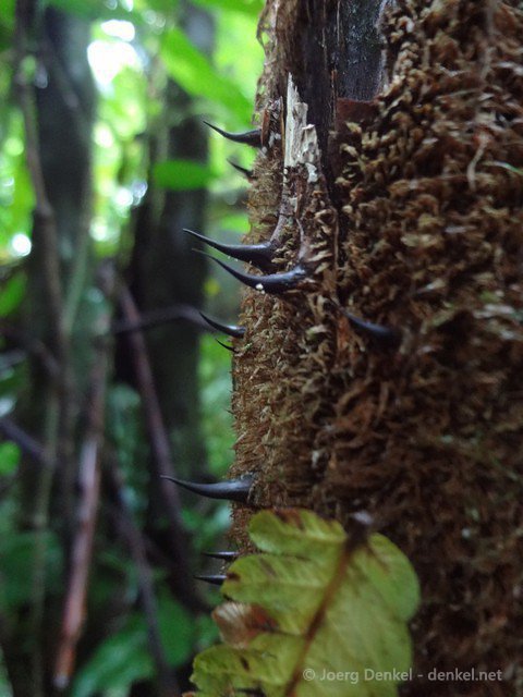 esteli-jinotega-miraflor 069