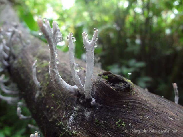 esteli-jinotega-miraflor 073