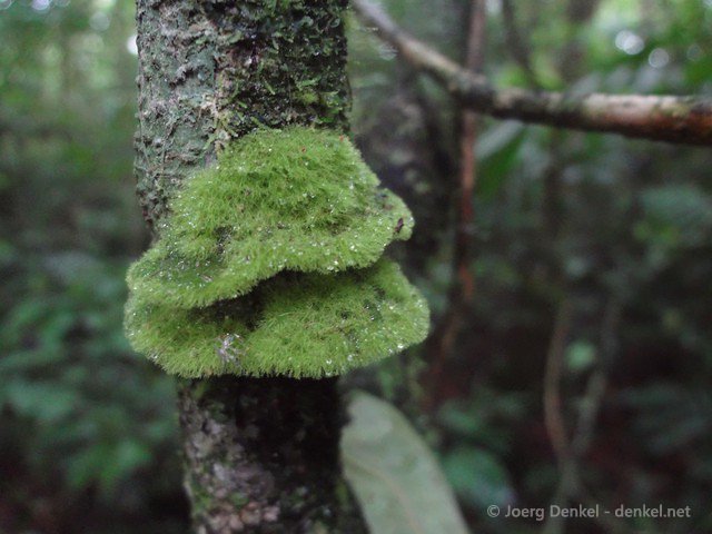 esteli-jinotega-miraflor 074