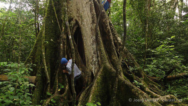 esteli-jinotega-miraflor 078
